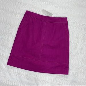 Ann Taylor Textured Cotton Skirt Size 4 NWT